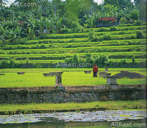 Amankila resort 20